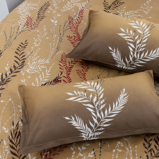 Super King Bedsheet Set | 210 TC Cotton| 2 Pillow Covers | AD19
